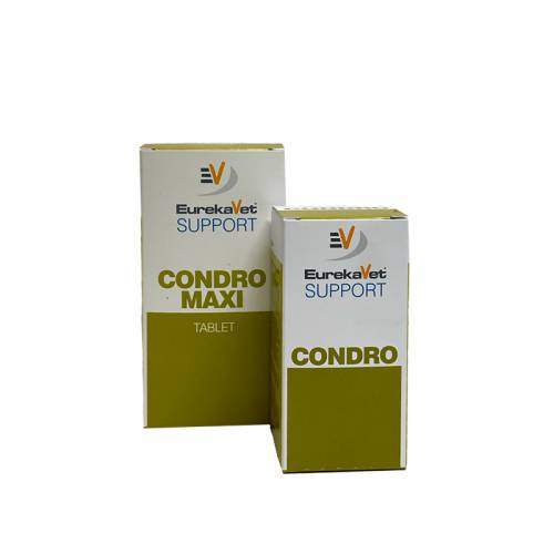 CONDRO COMPRESSE 60 gr